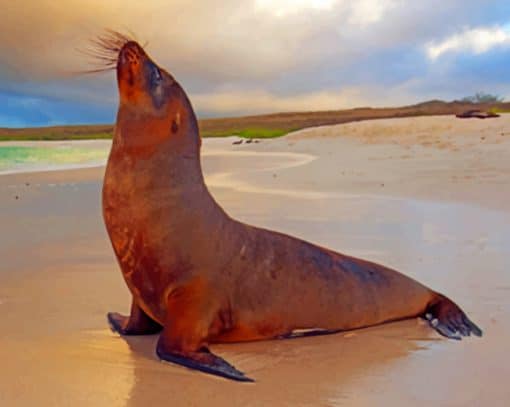 Brown Sealion Paint By Numbers