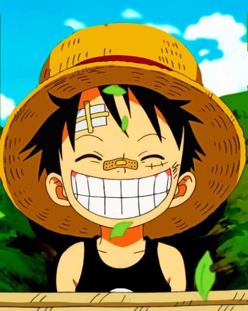 Smiling Monkey Luffy Paint By Numbers