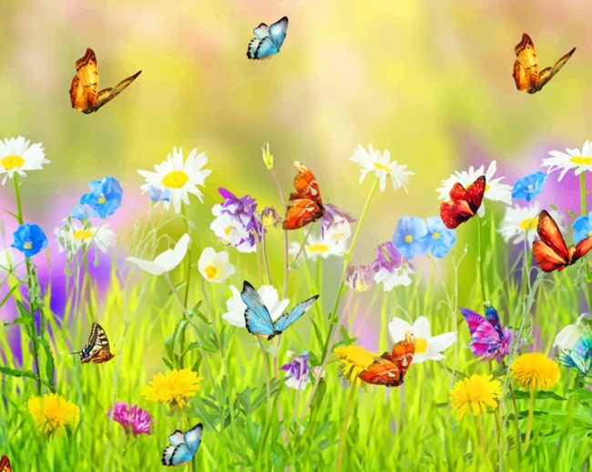 Spring Meadow and Butterflies - Paint By Number - NumPaint - Paint by ...
