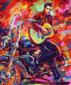 Elvis Presley Poster paint by numbers