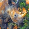 Wild Brown Rhinoceros paint by numbers