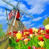 Windmill Among Flowers Paint By Numbers