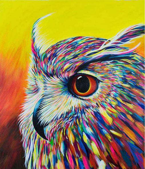 owl paint by numbers