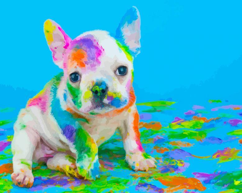 Colorful Puppy Dog - Animals Paint By Number - NumPaint - Paint by numbers