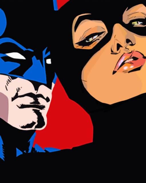 Batman And Bat woman Paint By Numbers