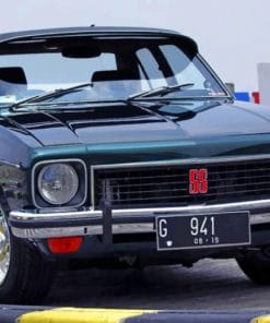 Black Holden Torana Ss 1976 paint by numbers