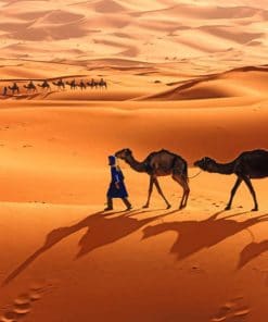 Camel Caravan In The Sahara paint by numbers