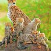 Cheetah Cubs With Mother paint by numbers