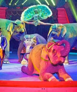 Circus Elephants Performing paint by numbers