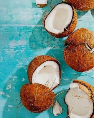 coconut-fruit-paint-by-numbers-319x400