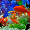 Colorful Fishes In Aquarium paint by numbers