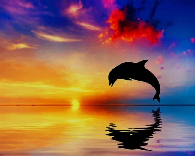 Dolphin Jumping At A Sunset paint by numbers