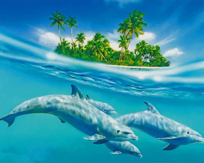 Dolphins Swimming Under Water paint by numbers