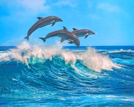 Dolphins Jumping In The Ocean paint by numbers