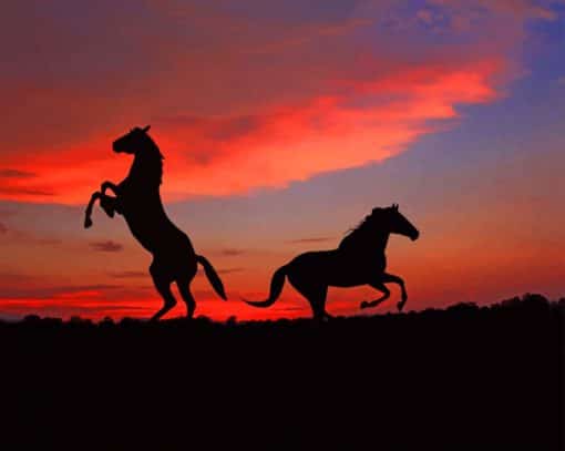 Two Horses At Sunset paint by numbers