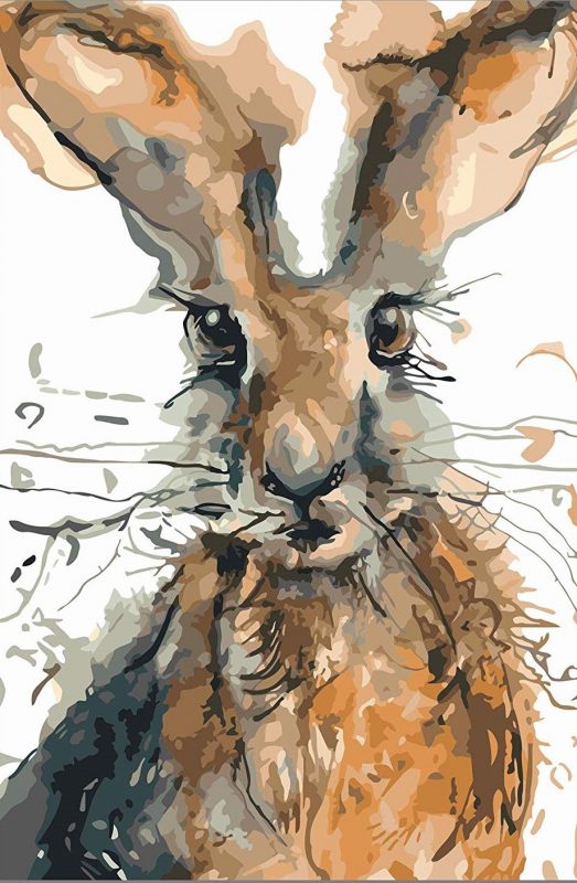 Watercolor Rabbit Animals Paint By Number Num Paint Kit