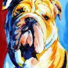 Sad Bulldog Paint By numbers