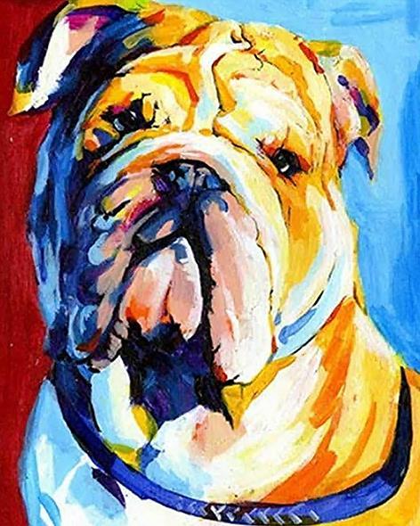 Sad Bulldog Paint By numbers