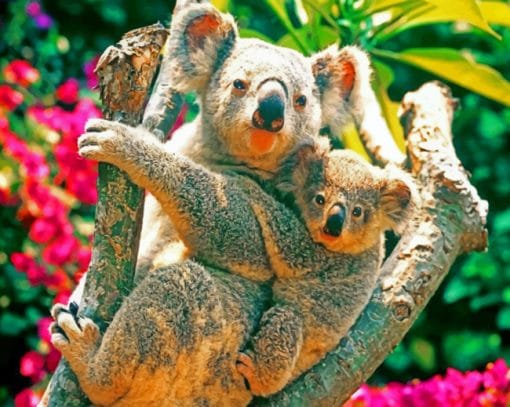Koala Bears In The Tree paint by numbers
