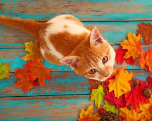 Orange Cat And Fall Leaves paint by numbers