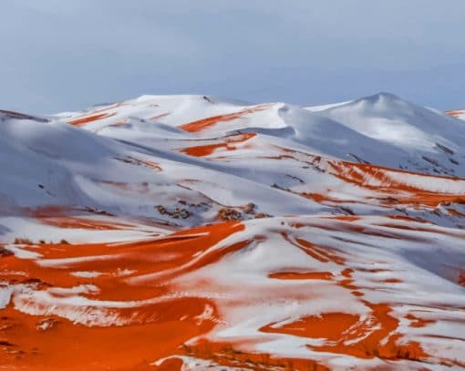 Snowy Saharan Vibes paint by numbers
