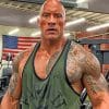The Rock In A Gym Paint by numbers