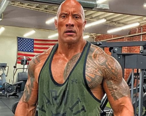 The Rock In A Gym Paint by numbers