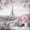 Black And White Paris paint by numbers
