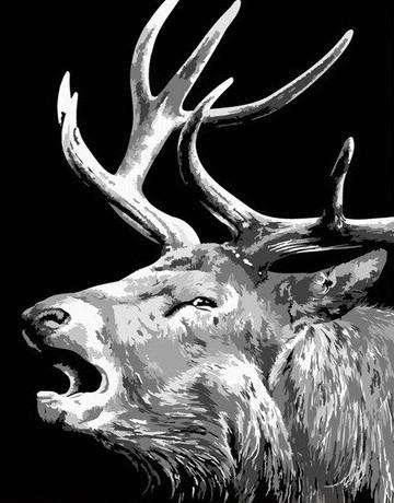 Black And White Elk paint by numbers