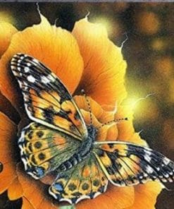 Autumn Butterfly paint by numbers