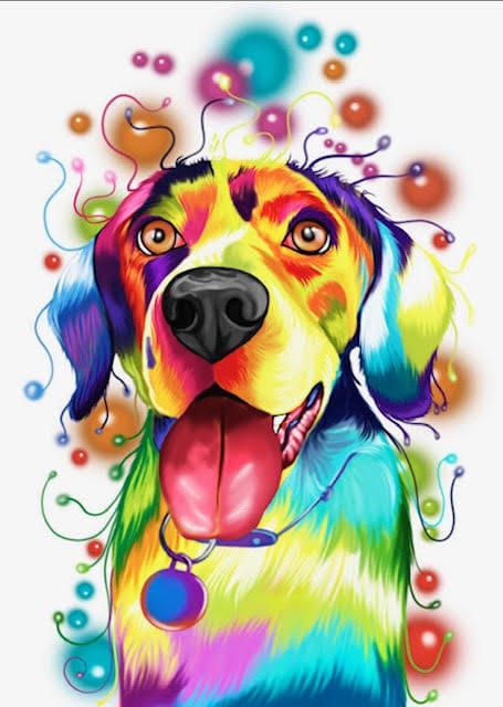 Colorful Retriever Dog paint by numbers