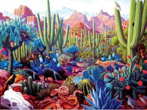 Colorful Succulents Desert paint by numbers