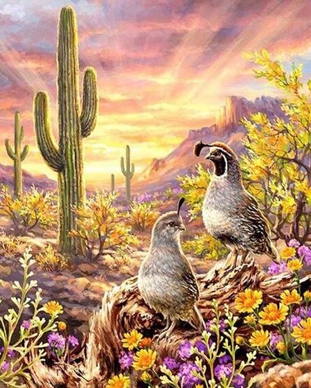 Birds in Desert paint by numbers