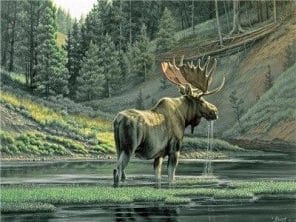 Moose River paint by number
