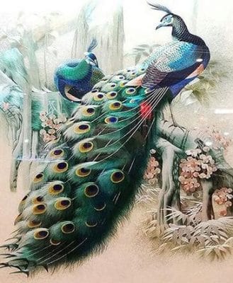 Forest Peacock - Birds Paint By Number - Num Paint Kit