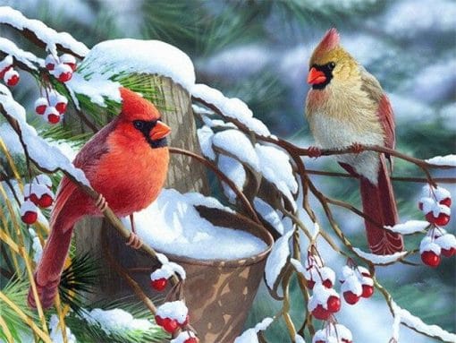 Cardinal Birds In Winter paint by numbers