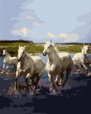 Wild White Horses paint by numbers