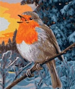 The European Robin Birds Paint by numbers