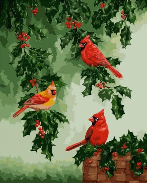 Red Cardinals Bird paint by numbers