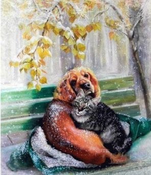 Cat and Dog in Winter paint by numbers
