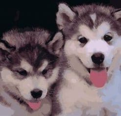 Puppies Of Husky Paint by numbers