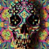 Geometric Skull paint by numbers