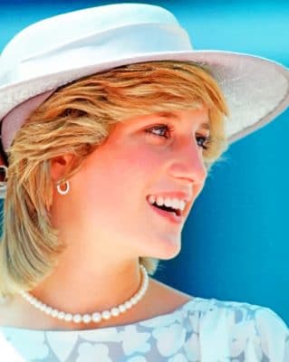 The Beautiful Lady Diana paint by numbers