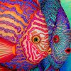 Aesthetic Colorful Fishes Paint by numbers