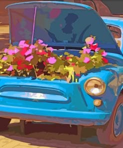 Blue Car And Flowers Paint by numbers