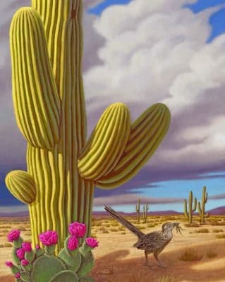 Cactus And Bird paint by numbers