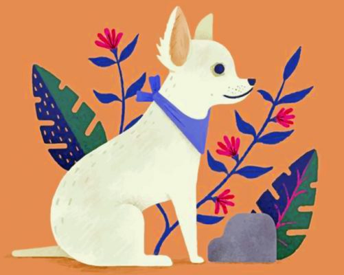 Chihuahua - Paint By Numbers - Num Paint Kit