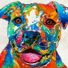 Colorful Staffy Dog Paint by numbers