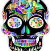 Colorful Black Folk Art Skull paint by numbers
