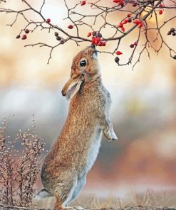 Hare Paint by numbers